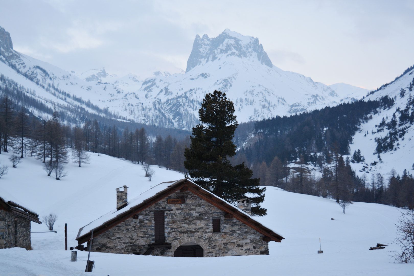 Una casa rustica in pietra si trova in una valle innevata, con un alto pino e montagne innevate sullo sfondo.