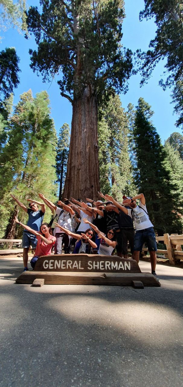 Un viaje en grupo de WeRoad haciendo un dab frente al Árbol General Sherman en un soleado bosque de secuoyas.