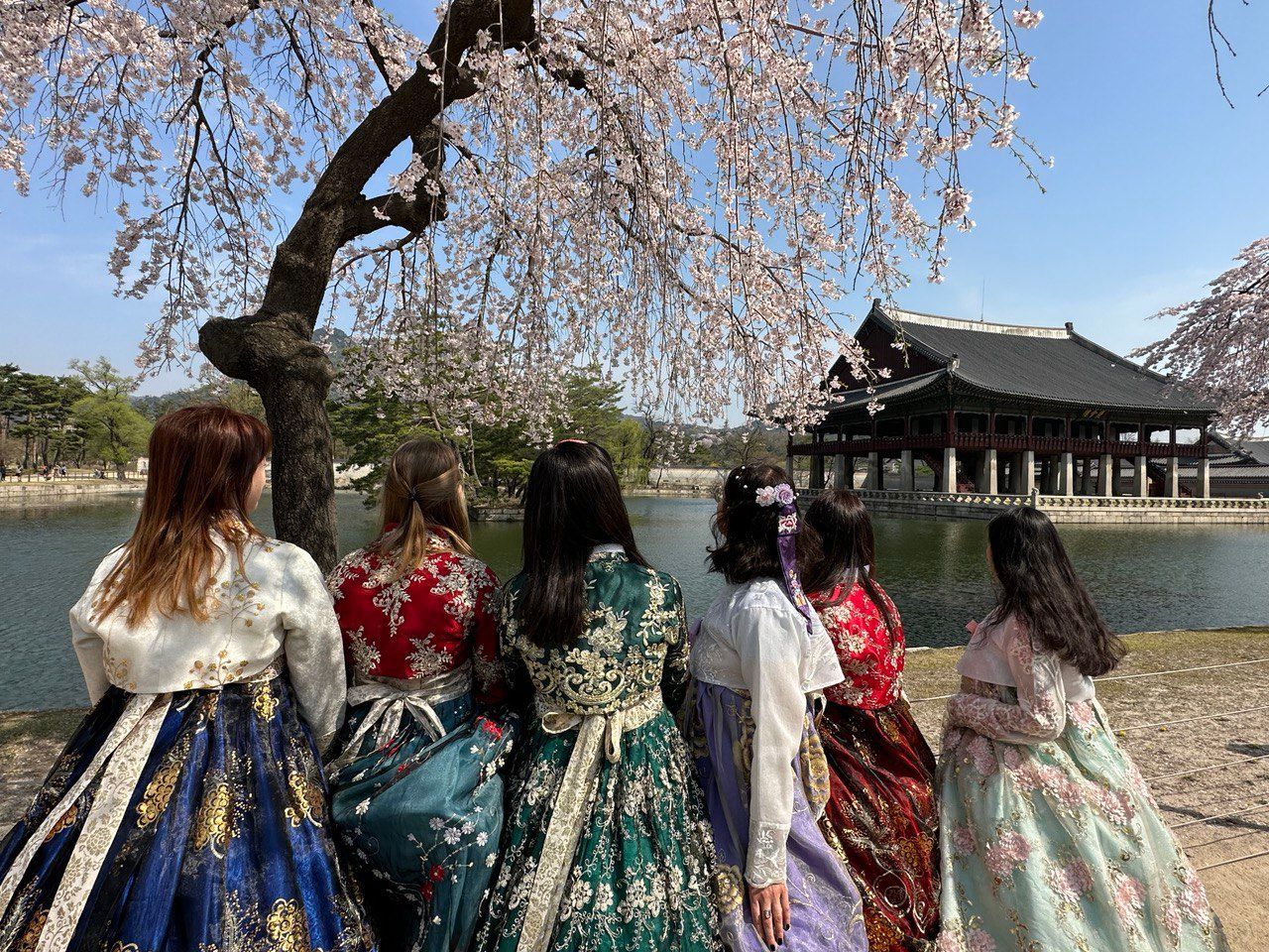 Un voyage de groupe WeRoad de femmes en robes hanbok colorées contemple un lac vers un pavillon traditionnel sous les cerisiers en fleurs.