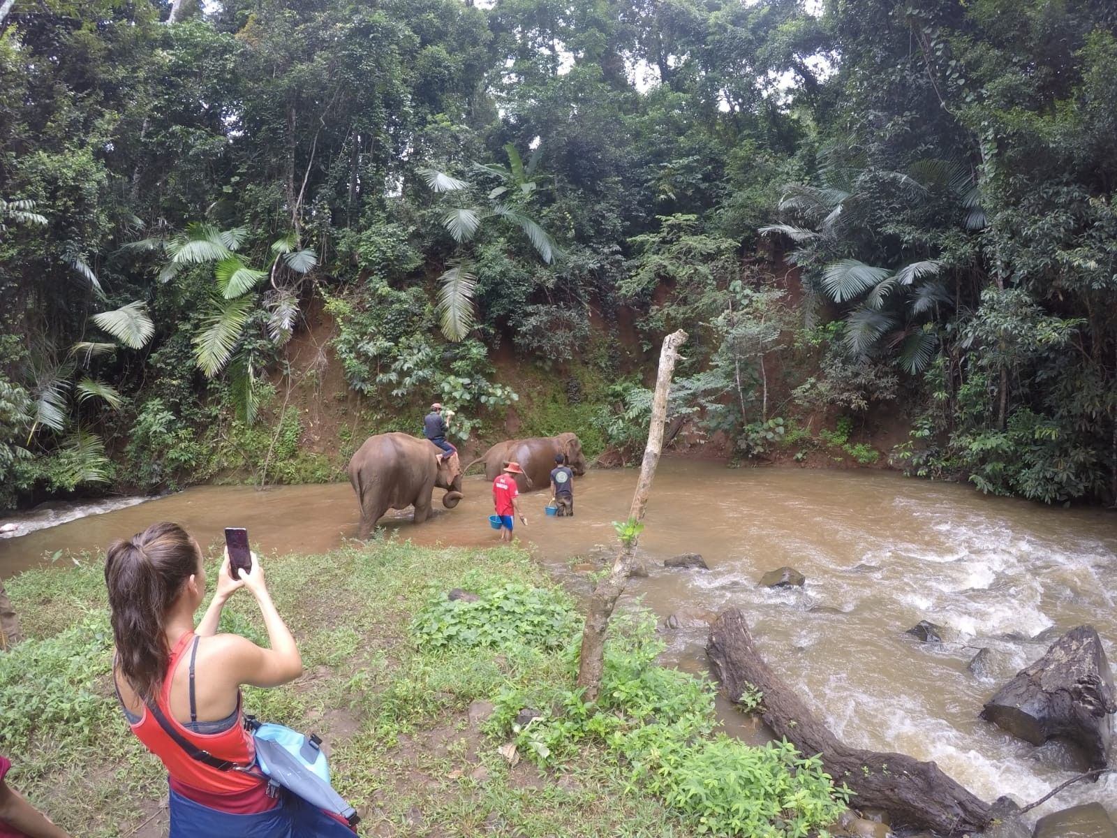 A woman from a WeRoad group trip photographs people bathing with two elephants in a river surrounded by a lush jungle.