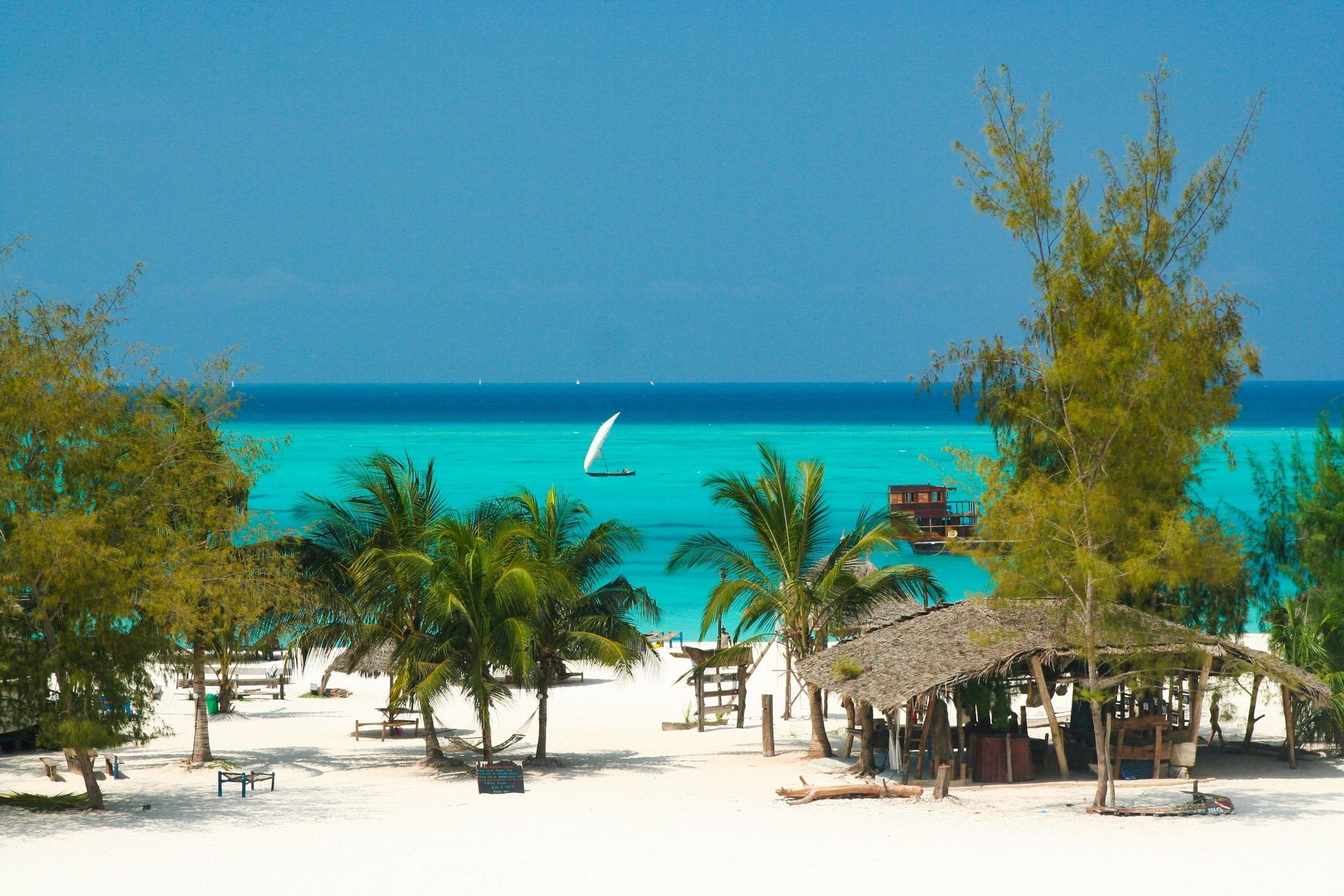 A sailboat with a white sail on a turquoise ocean, seen from a tropical beach with white sand and palm trees.
