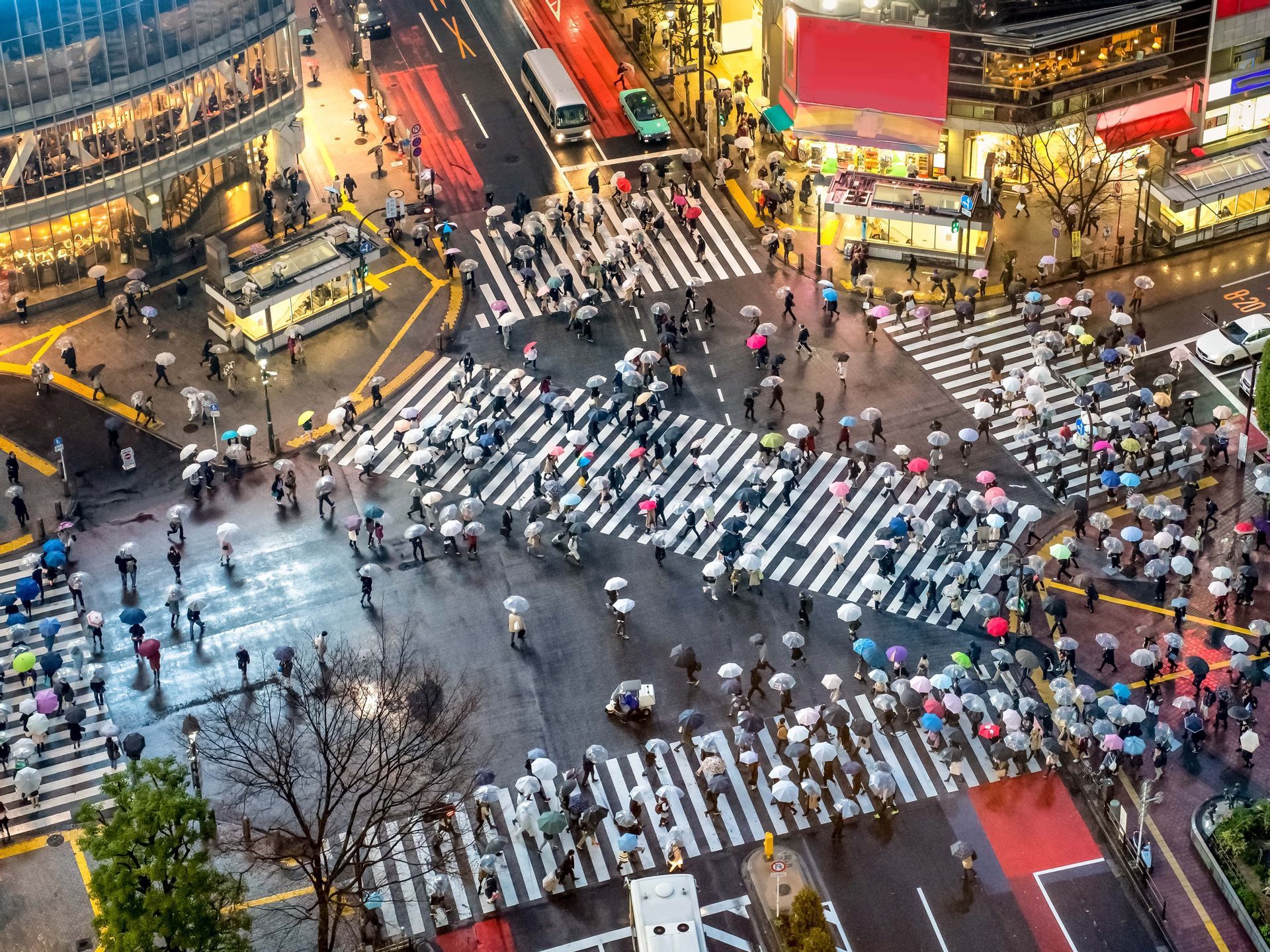 An aerial view of pedestrians with umbrellas crossing a busy city intersection on a wet day.