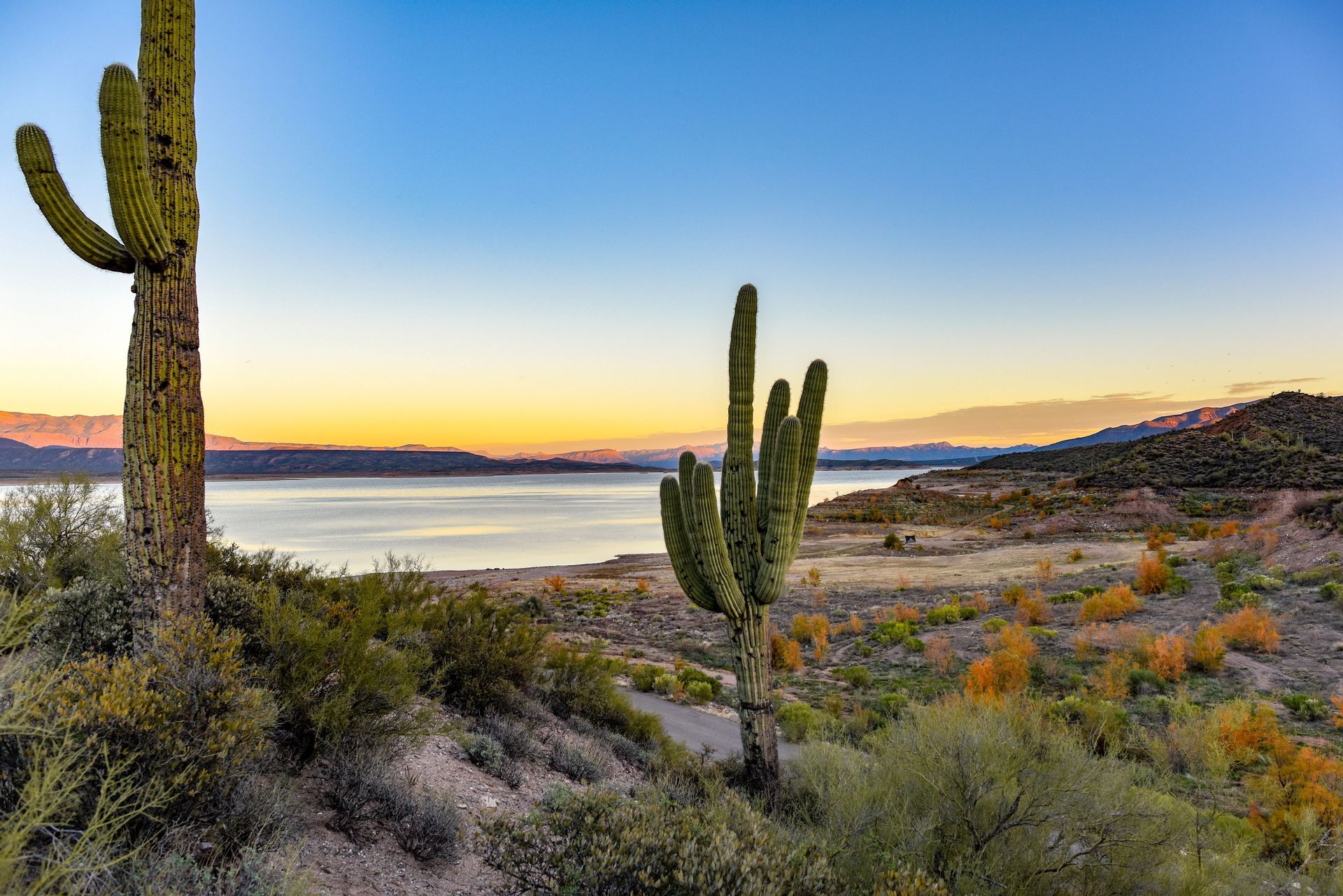 Un paesaggio desertico con due cactus saguaro che si affacciano su un grande lago e montagne lontane al tramonto.