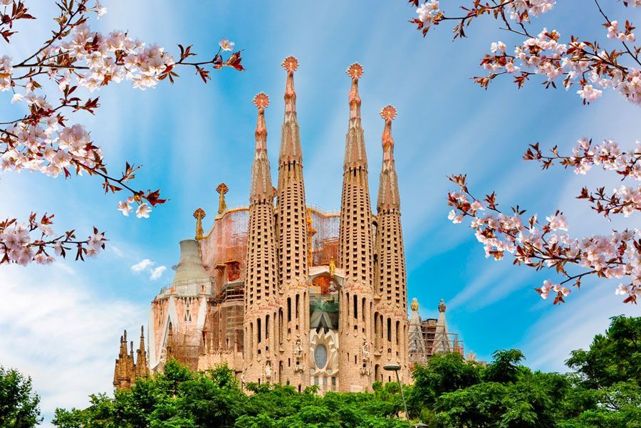 An ornate cathedral with tall spires stands against a blue sky, framed by pink cherry blossom branches and green trees.