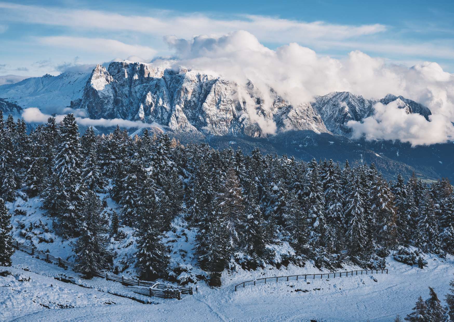 Una fitta foresta di abeti innevati si estende su una collina sotto una grande catena montuosa rocciosa toccata dalle nuvole.