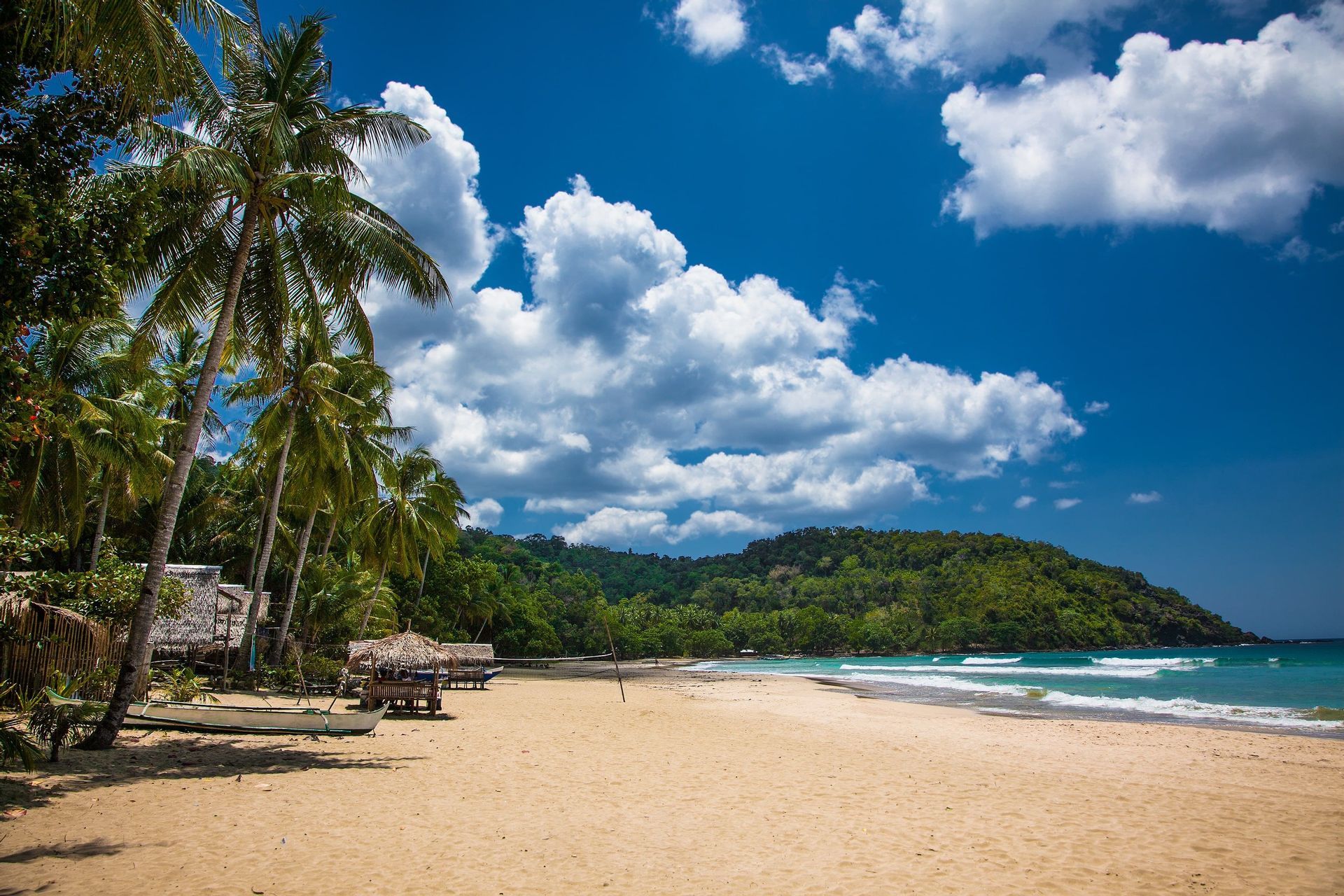 Tall palm trees line a sandy beach with small huts, a boat, and turquoise water under a partly cloudy sky.