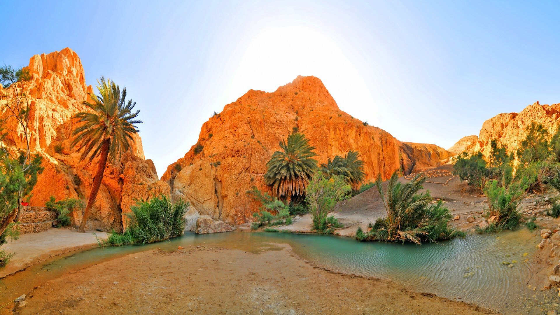 Una vista panoramica di un'oasi nel deserto con un ruscello turchese che scorre tra formazioni rocciose arancioni illuminate dal sole e palme.