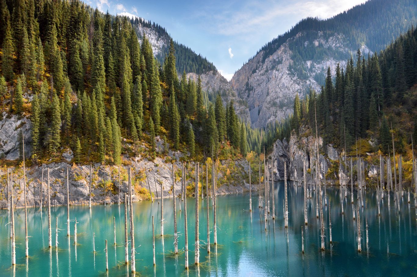 Bare tree trunks emerge from calm, turquoise water, surrounded by steep mountains covered in dense pine forests.