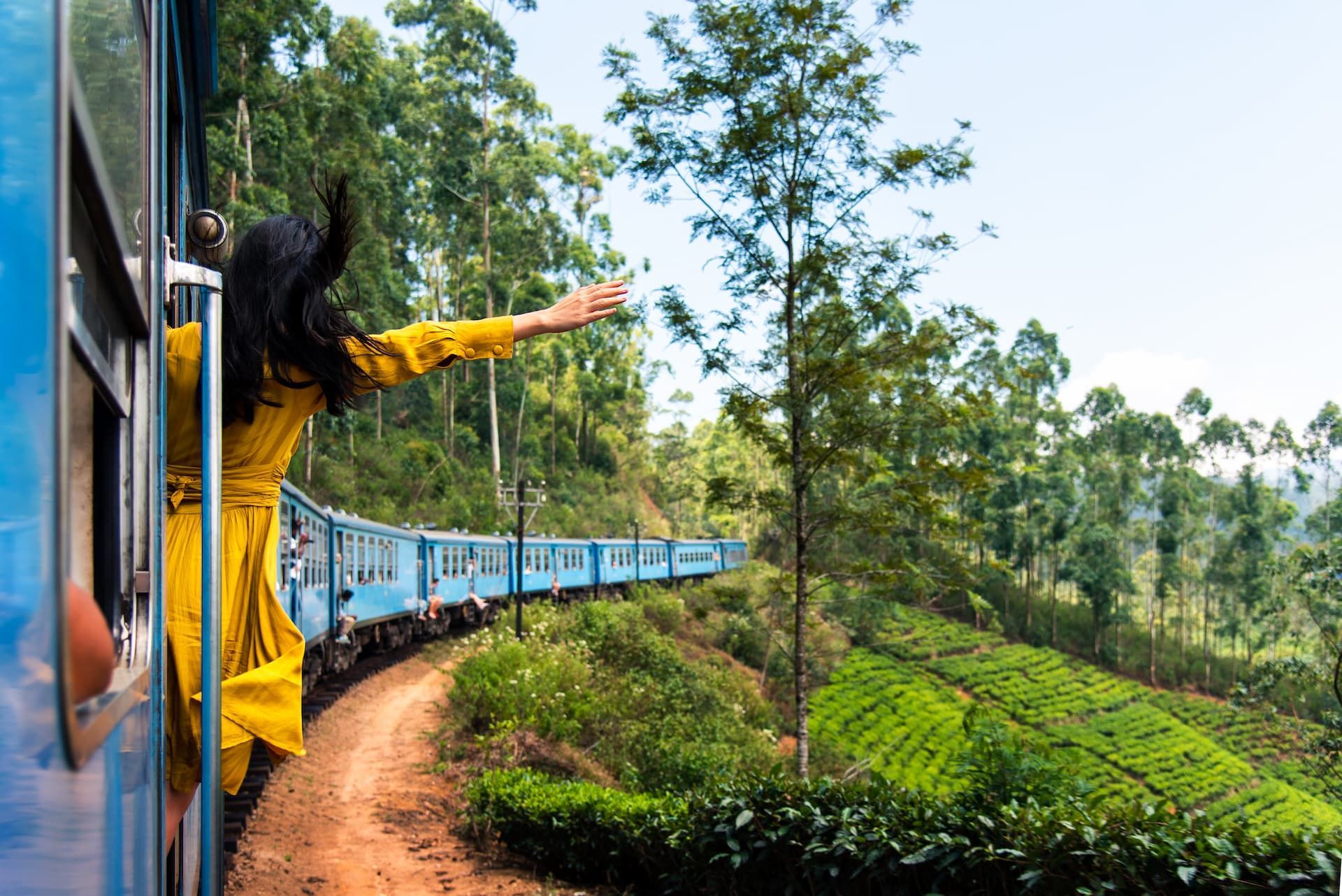 A person in a yellow dress leans out of a blue train window traveling through lush green tea plantations.
