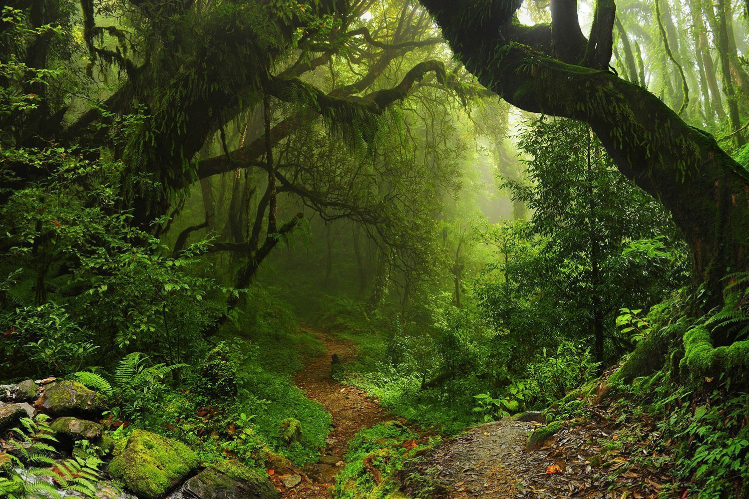 brasile-rio-de-janeiro-e-la-natura-del-sud.jpg