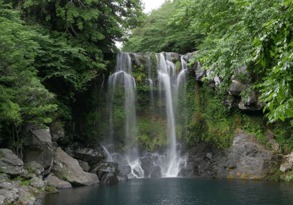 Una vasta cascata si riversa su una parete rocciosa coperta di muschio in una pozza scura, circondata da una fitta vegetazione verde della foresta.