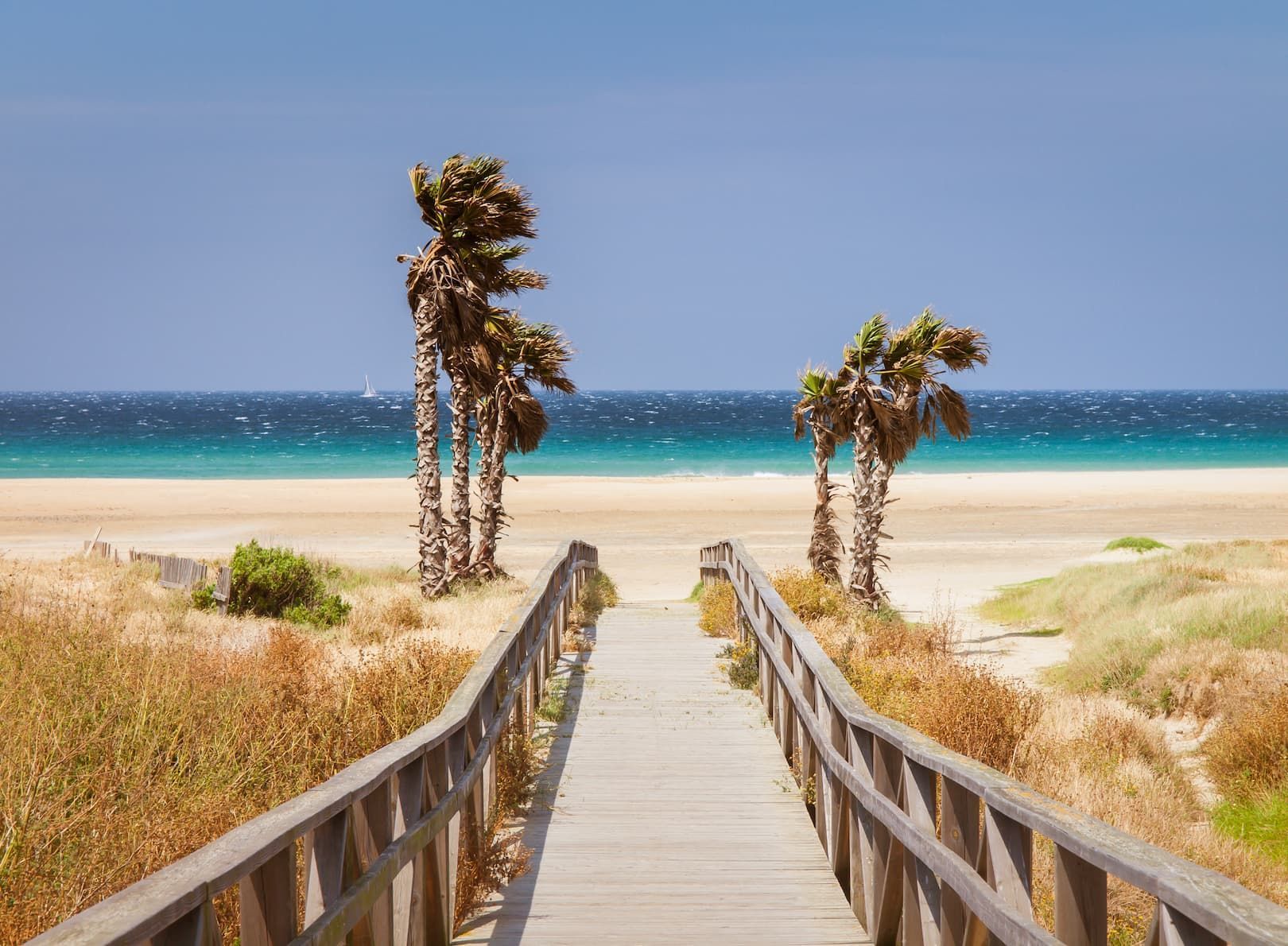 Una passerella di legno conduce attraverso dune di sabbia con palme fino a una spiaggia con acqua blu sotto un cielo limpido.