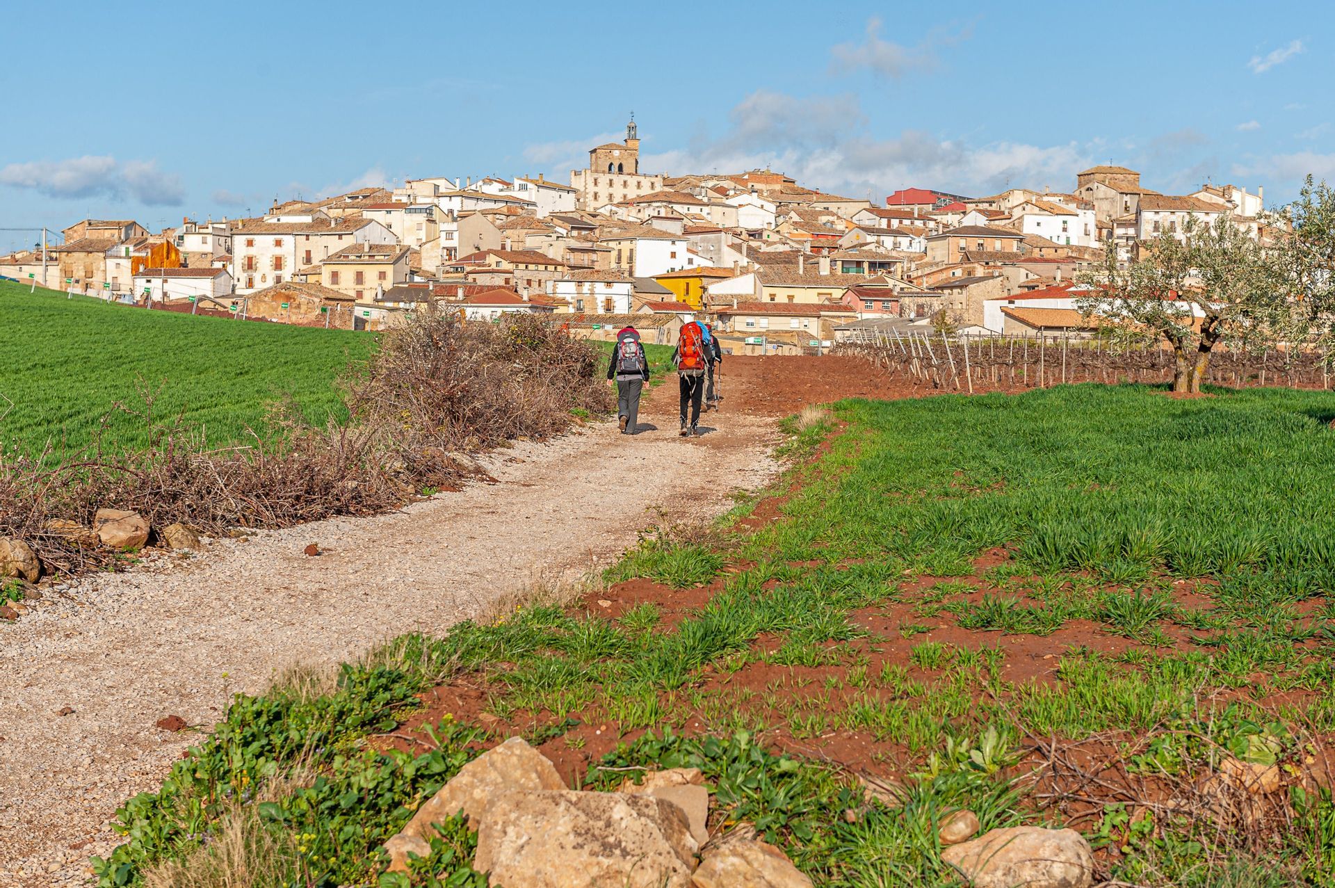 Due persone con zaini da trekking percorrono un sentiero di ghiaia attraverso campi verdi verso un borgo in collina.