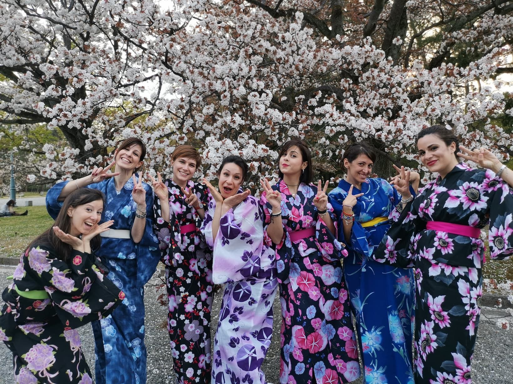 Un voyage de groupe WeRoad entre femmes en kimonos colorés posant et souriant devant un cerisier en fleurs