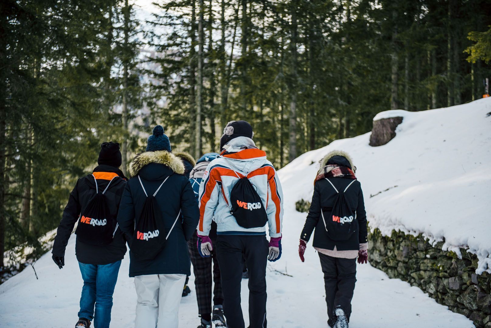 Rear view of a WeRoad group trip walking along a snowy path through a pine forest, wearing winter jackets and backpacks.