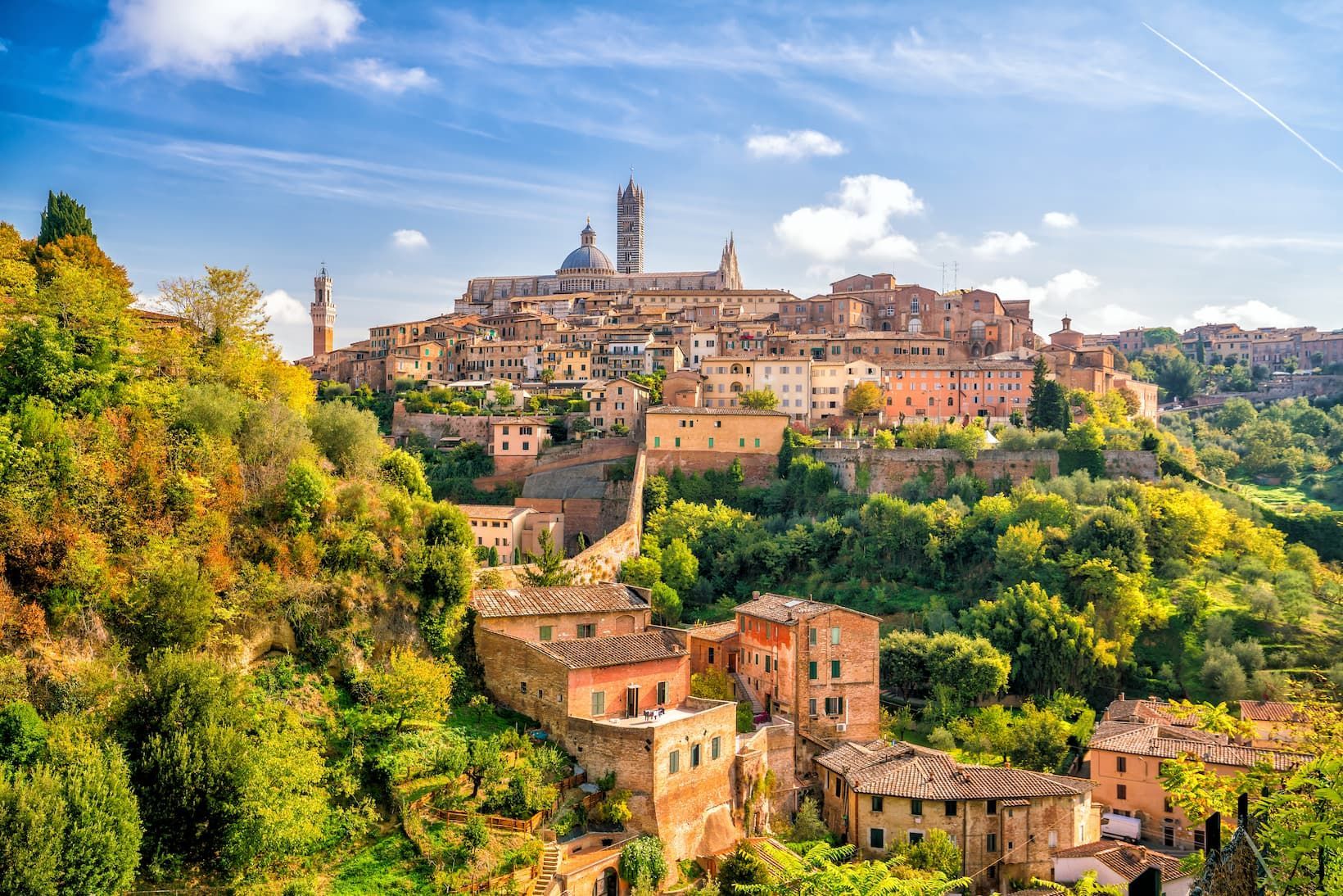 A historic town with a cathedral built on a lush green hill under a blue sky with white clouds.