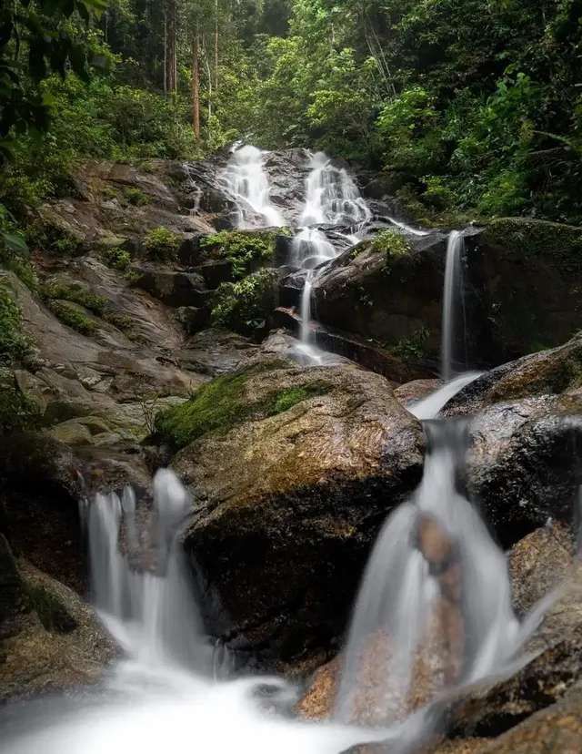Une photo en pose longue d'une cascade dévalant sur des rochers recouverts de mousse dans une forêt dense et verdoyante.