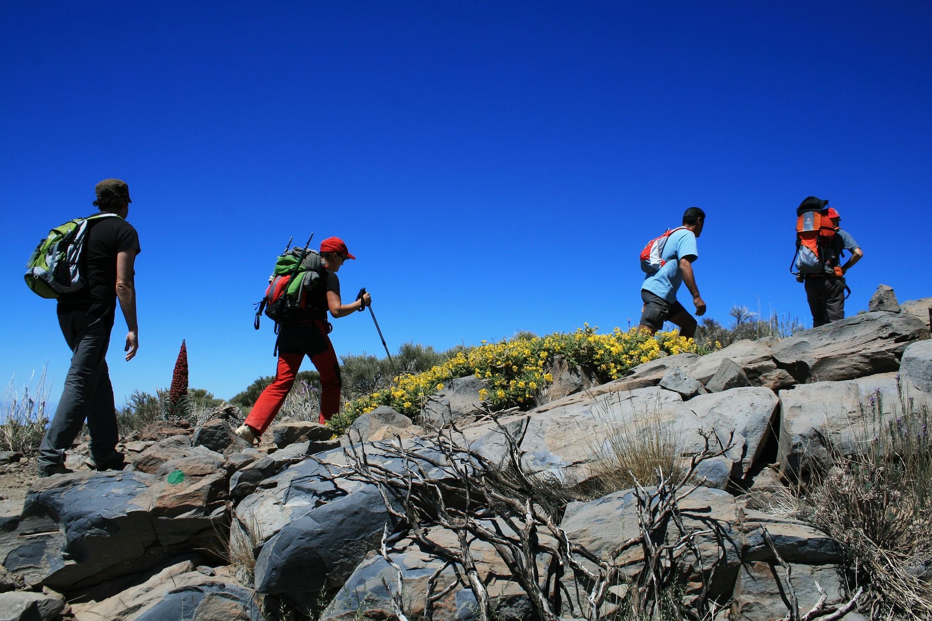 Un viaggio di gruppo WeRoad con zaini, in escursione su un sentiero di montagna roccioso con fiori gialli, sotto un cielo azzurro e limpido.