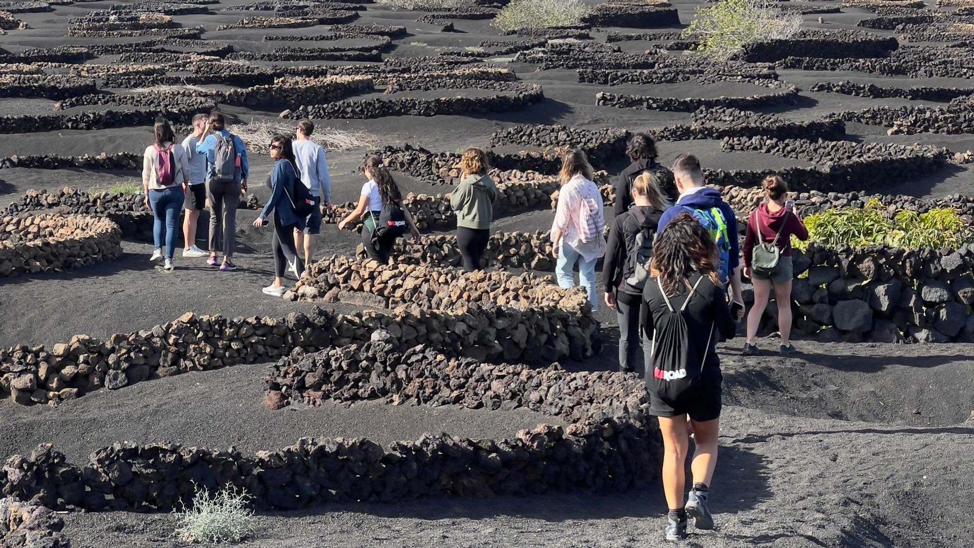 Un viaggio di gruppo WeRoad attraversa un paesaggio unico di terreno vulcanico nero e bassi muretti in pietra semicircolari.