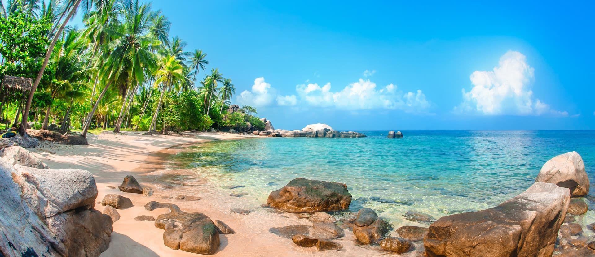Une plage tropicale de sable avec de gros rochers rencontre l'océan turquoise clair sous un ciel bleu avec des palmiers sur le rivage.