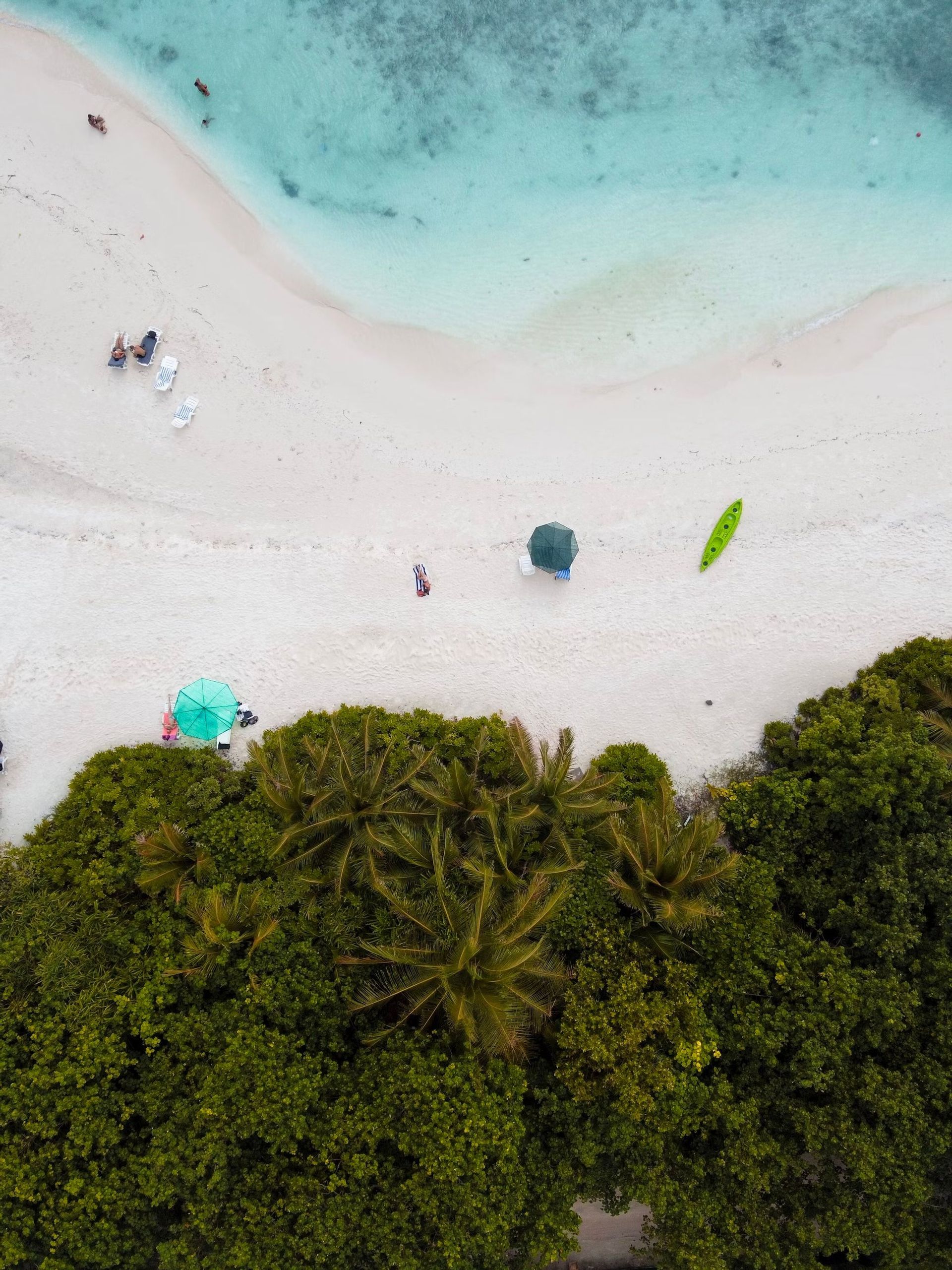 Vista aérea cenital de una playa de arena blanca donde un exuberante bosque verde se encuentra con el océano turquesa cristalino, con gente relajándose en la orilla.