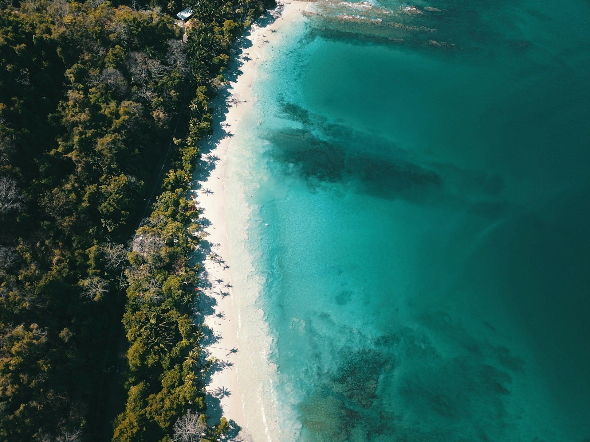 Costa Rica Beach Life: tra giungla e Caraibi