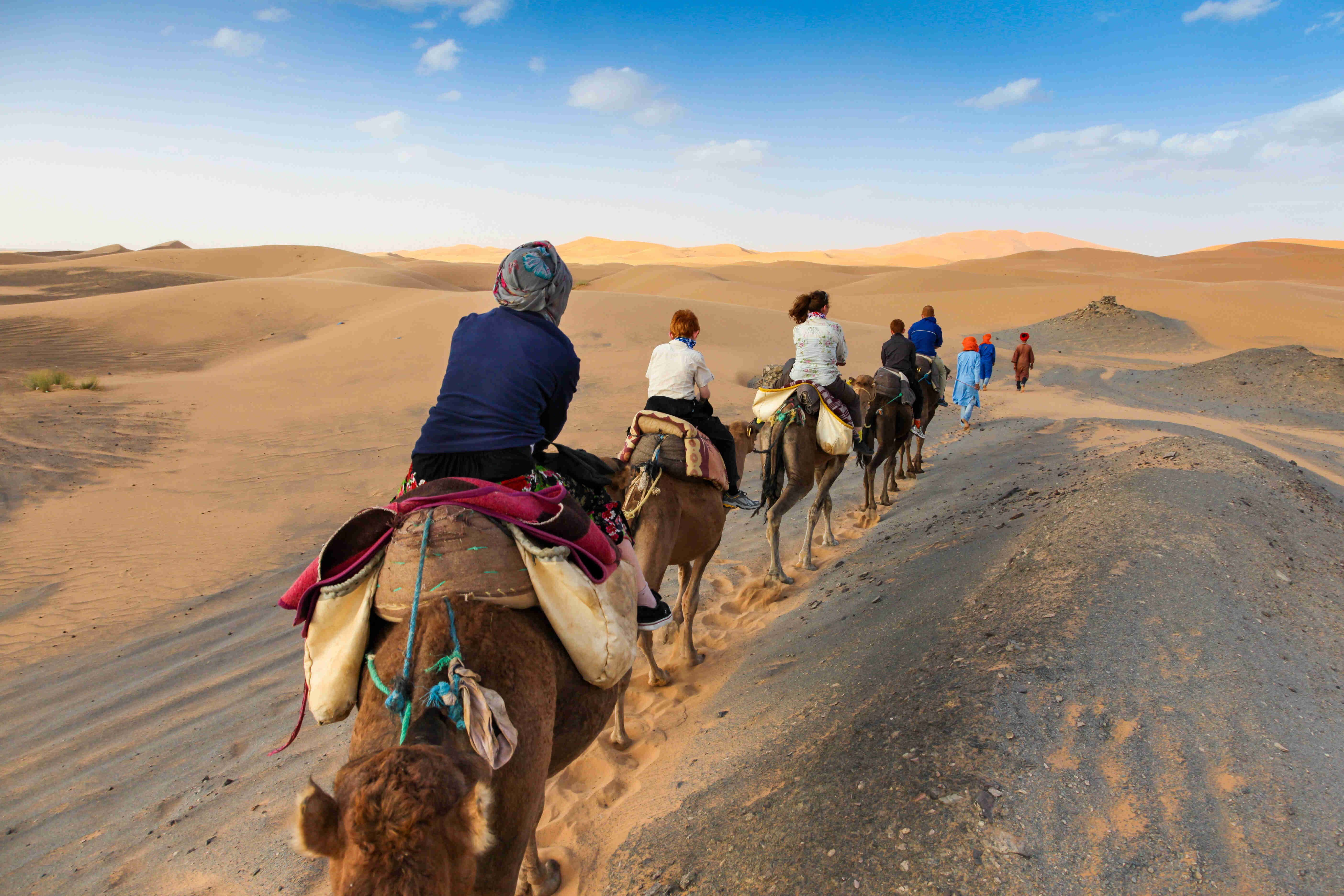 Tunisia 360°: tra oasi, deserti e villaggi berberi