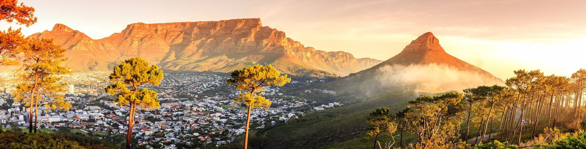 South Africa 360°: Cape Town, Stellenbosch, and Kruger National Park
