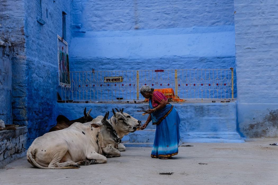 India: from Rajasthan to the Taj Mahal