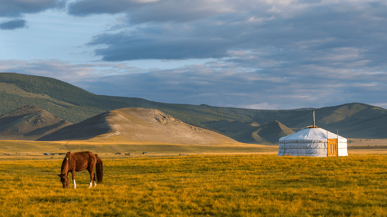  - Mongolie 360° : immersion nomade, du Gobi à l\'Orkhon