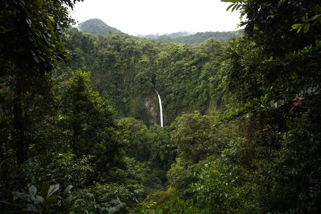Ecuador Expedition: from the Andes to the Amazon