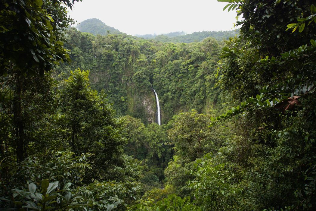  - Costa Rica 360° : pura vida parmi les forêts tropicales