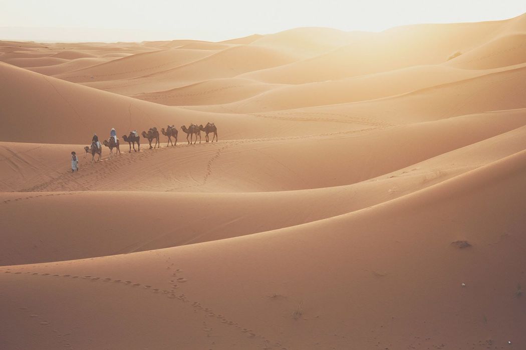 Marocco: dal deserto alle città da mille e una notte