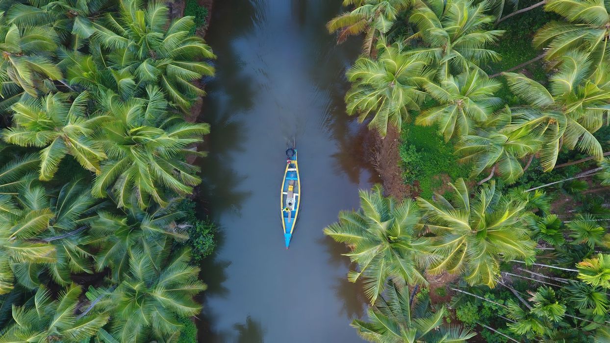  - Inde du Sud 360° : un voyage entre nature et traditions, du Kerala aux temples de Madurai