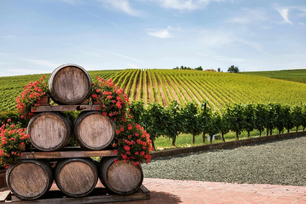 Napa Valley & San Fran Weekend: Wine, Food & Rolling Hills