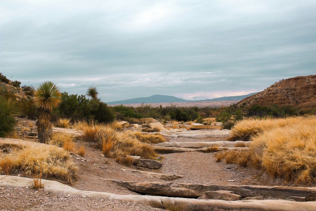 Marfa & Big Bend Weekend: Desert, Art & Stargazing