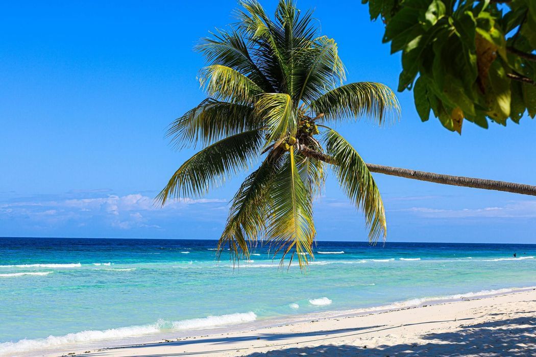 Jamaica Beach Life: Epic Beaches, Reggae and Nightlife