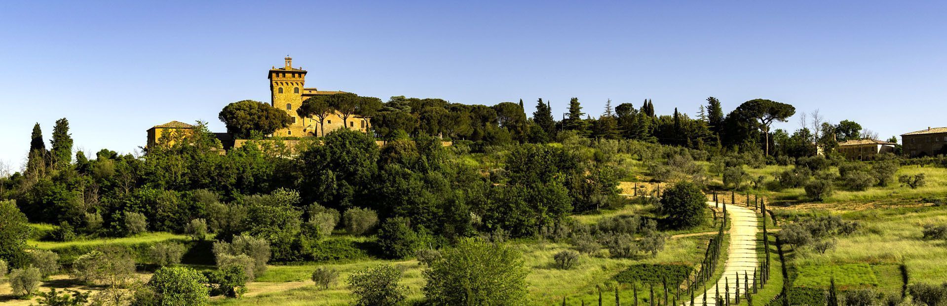 Via Francigena: in cammino da Lucca a Siena