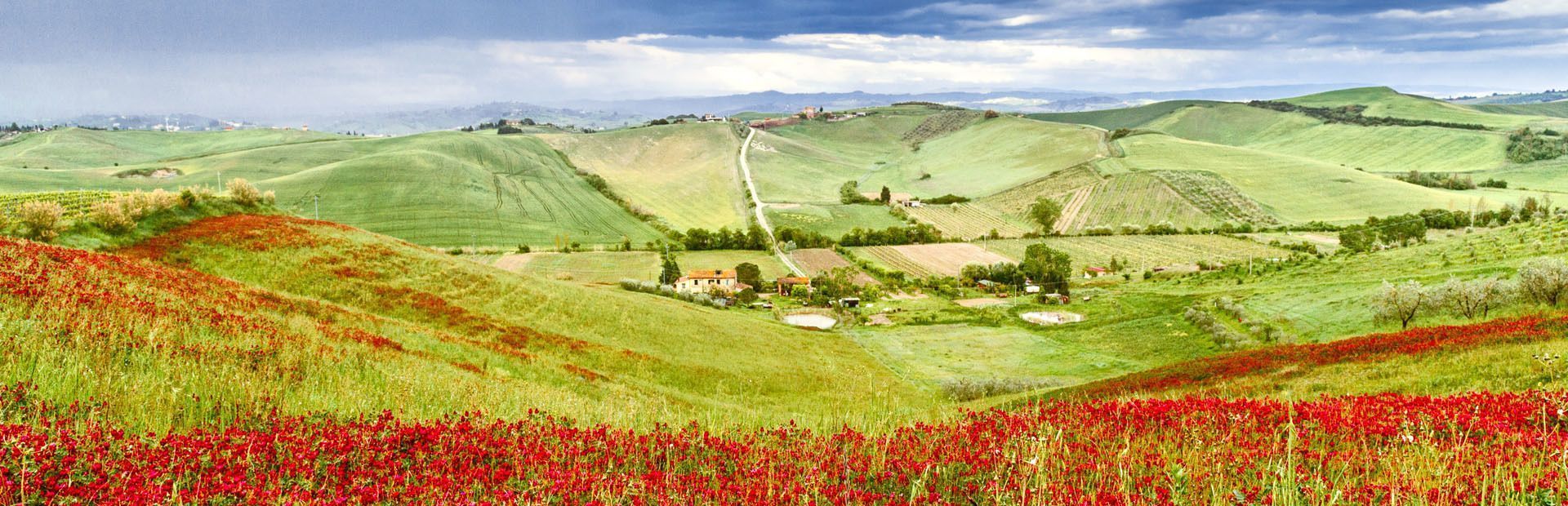 Via Francigena: in cammino da Siena a Viterbo