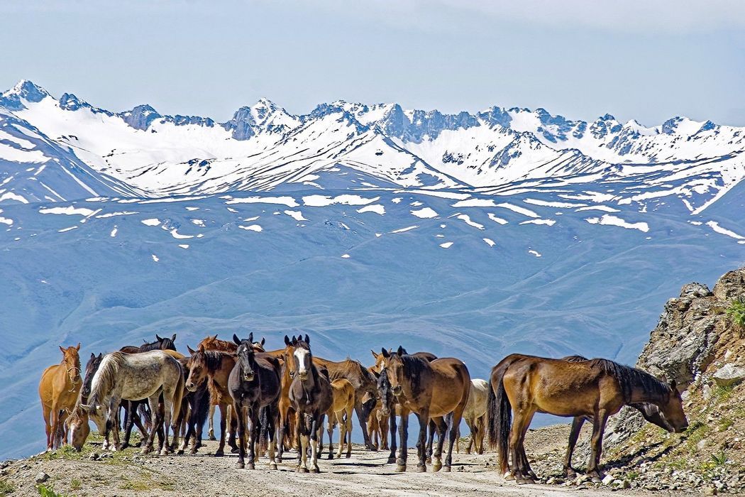  - Kirghizistan Actif : chevaux, yourtes et rando