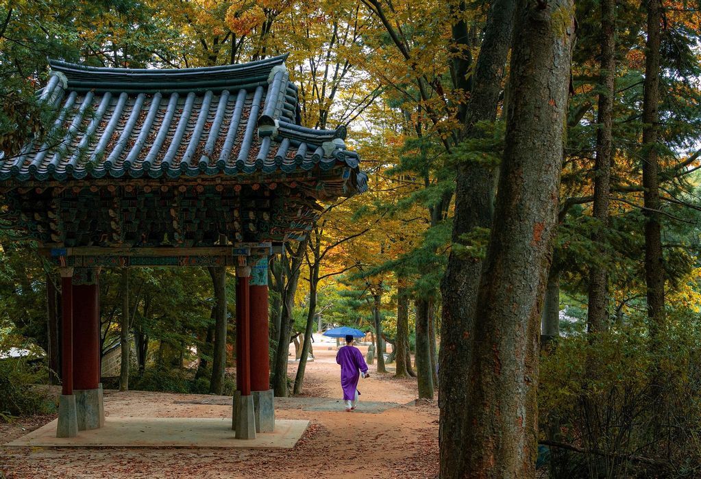 South Korea 360°: Between Modernity And Tradition