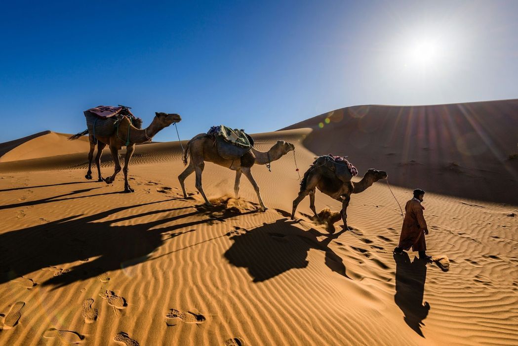 Marrakech Weekend: Souks, Desert Vibes & Moroccan Nights