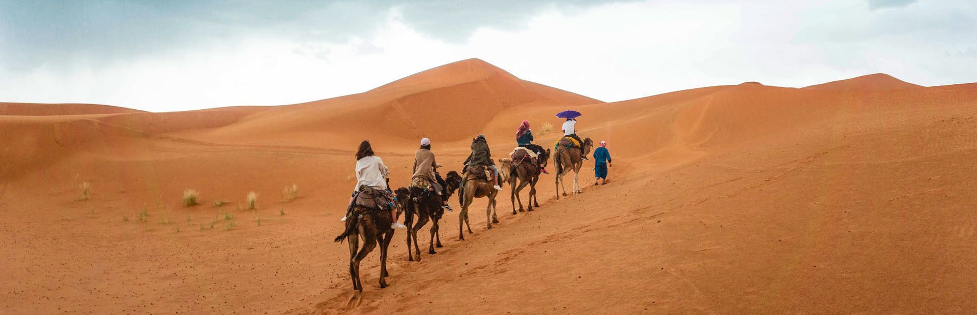 Southern Morocco: From Marrakech to Essaouira, between deserts and kasbahs