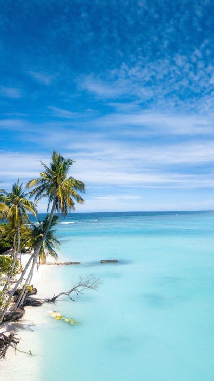Maldives Beach Life: Dolphins, Turtles & Sunset Sandbanks in Vaavu Atoll
