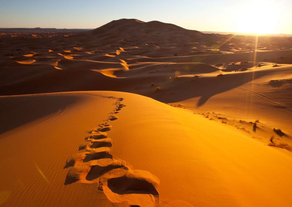 Morocco Express: Marrakech, Essaouira and the Desert