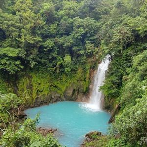 Una cascata scende in una pozza azzurra brillante, circondata dalla folta vegetazione verde di una giungla densa.