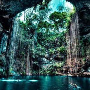 Un grande cenote con un'apertura verso il cielo, caratterizzato da una lussureggiante vegetazione della giungla sulle sue pareti e lunghe viti che pendono fino all'acqua.