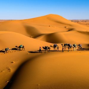 A WeRoad group trip guides a camel caravan across vast orange sand dunes under a clear blue sky.