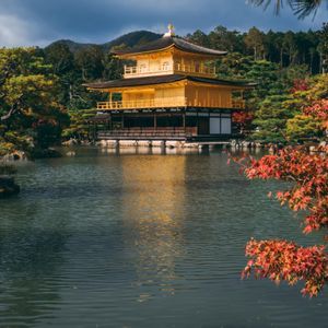 Un guía de grupo de WeRoad visto de espaldas, subiendo escaleras de piedra hacia una gran pagoda japonesa roja con árboles.