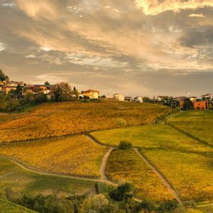 Un borgo in cima a una collina con un castello si affaccia su vigneti dorati e ondulati, sotto un cielo nuvoloso al tramonto.